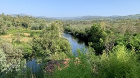 Das Rauschen des Wassers