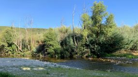 Unser Natur-Swimming Pool